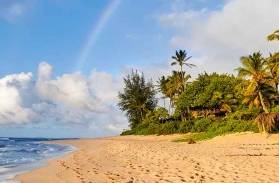 Séjour Hawaii : comment préparer un séjour de rêve sur l’île Hawai et visiter d'autres îles paradisiaque de l'archipel ?