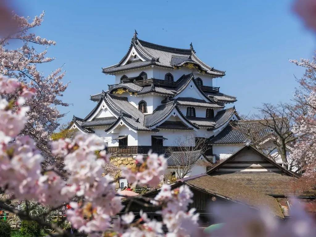 Les joyaux historiques aux alentours de Kyoto