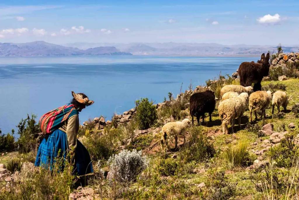 Arrivée à Puno et découverte du Lac Titicaca