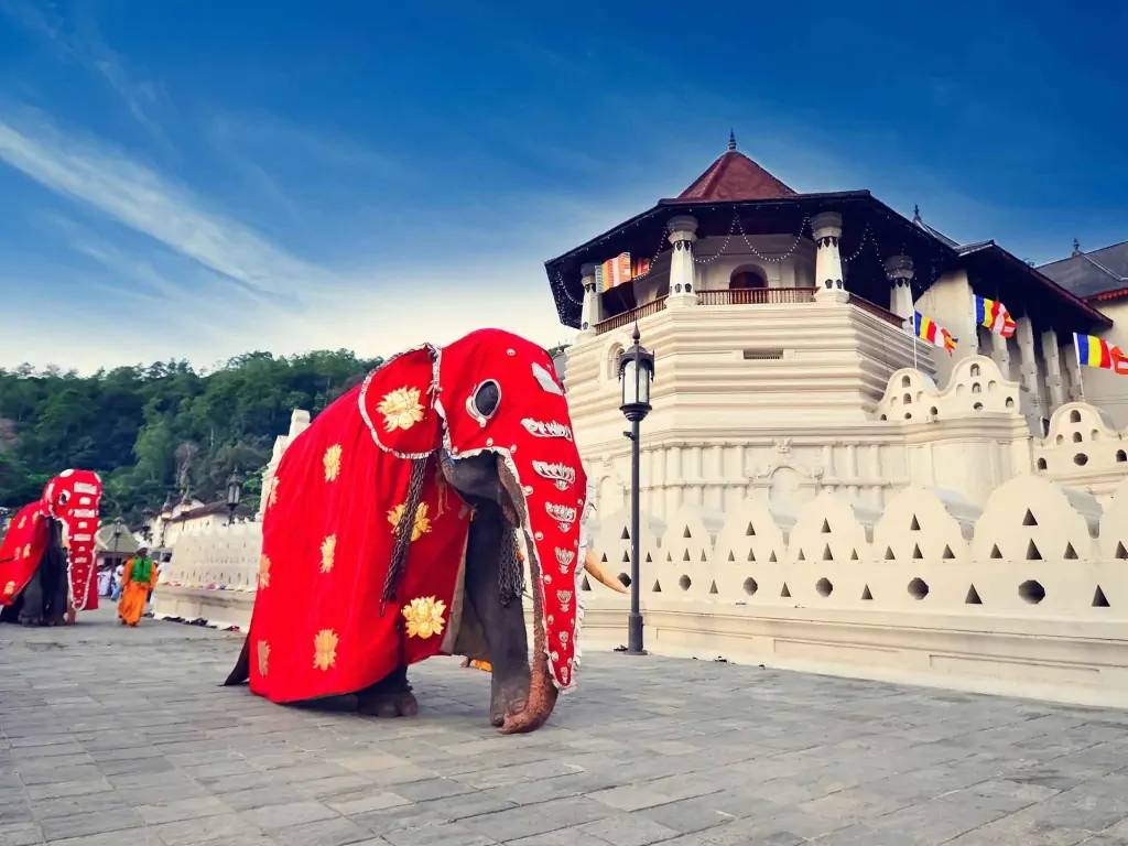 Le temple sacré de la Dent de Bouddha