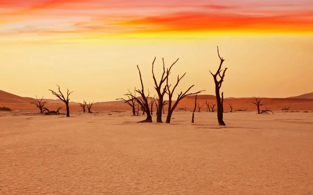 Ascension d’une dune du désert de Namib