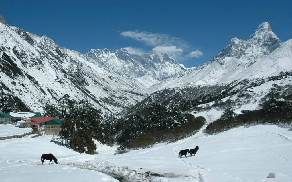 Vue incroyable du sommet du Kala Pathar