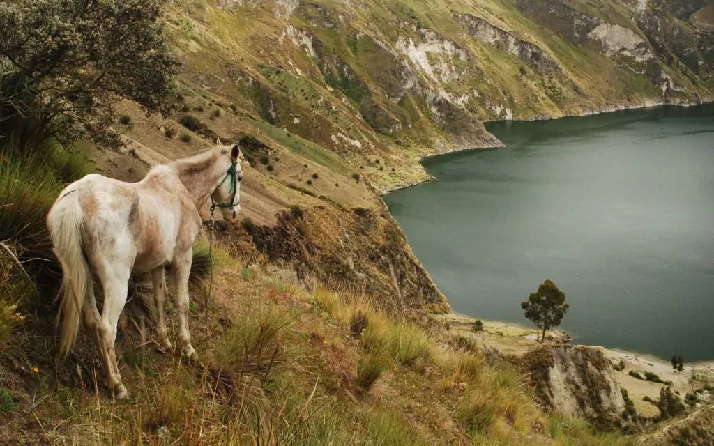 Début du trek dans les Andes Orientales