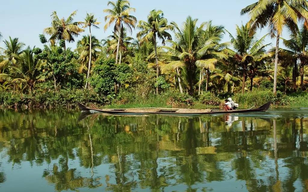 Au vert dans les backwaters