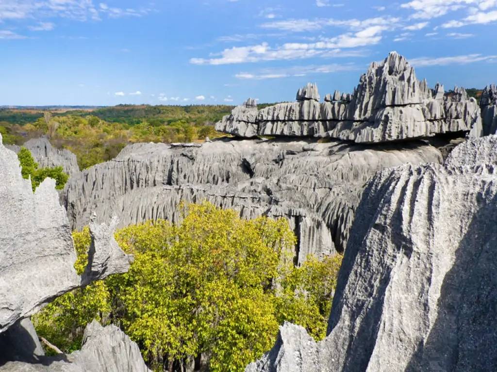 Une Forêt de pierres classée par l’Unesco !