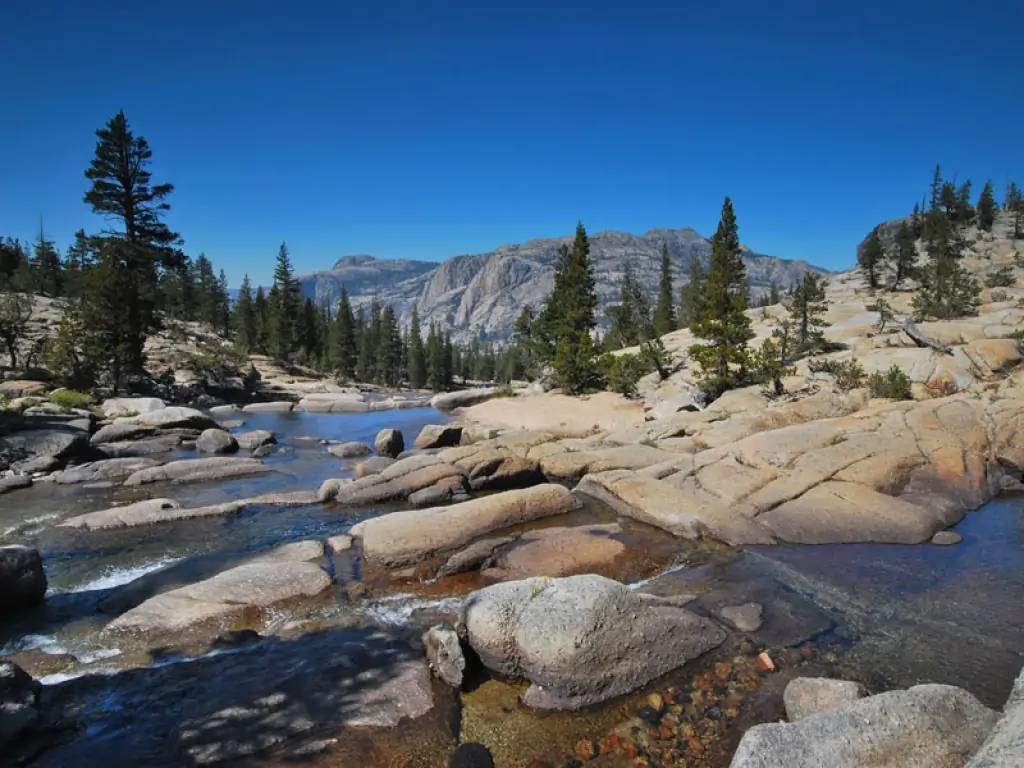 Route vers le célèbre Yosemite National Park 