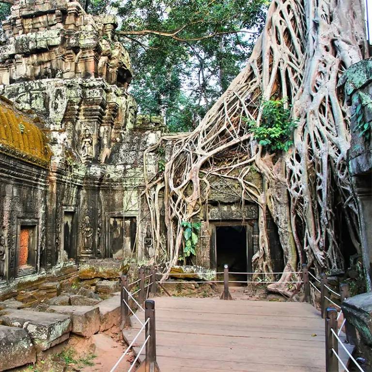 Les merveilles d’Angkor  