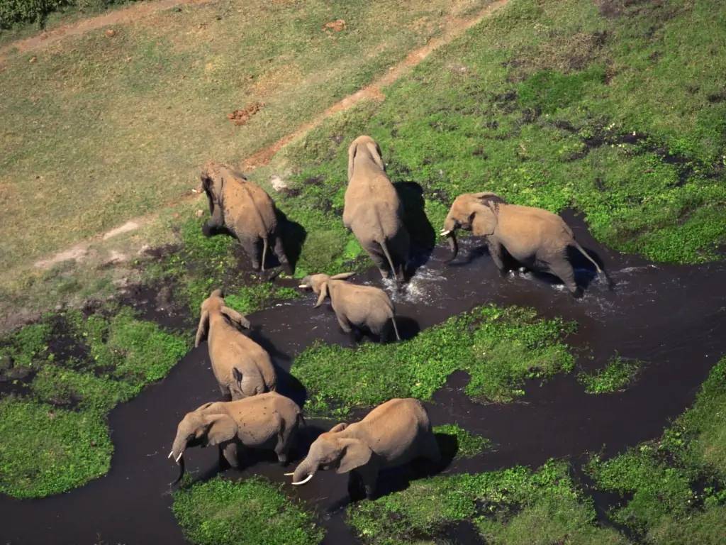 La réserve de Samburu, terre d’abondance