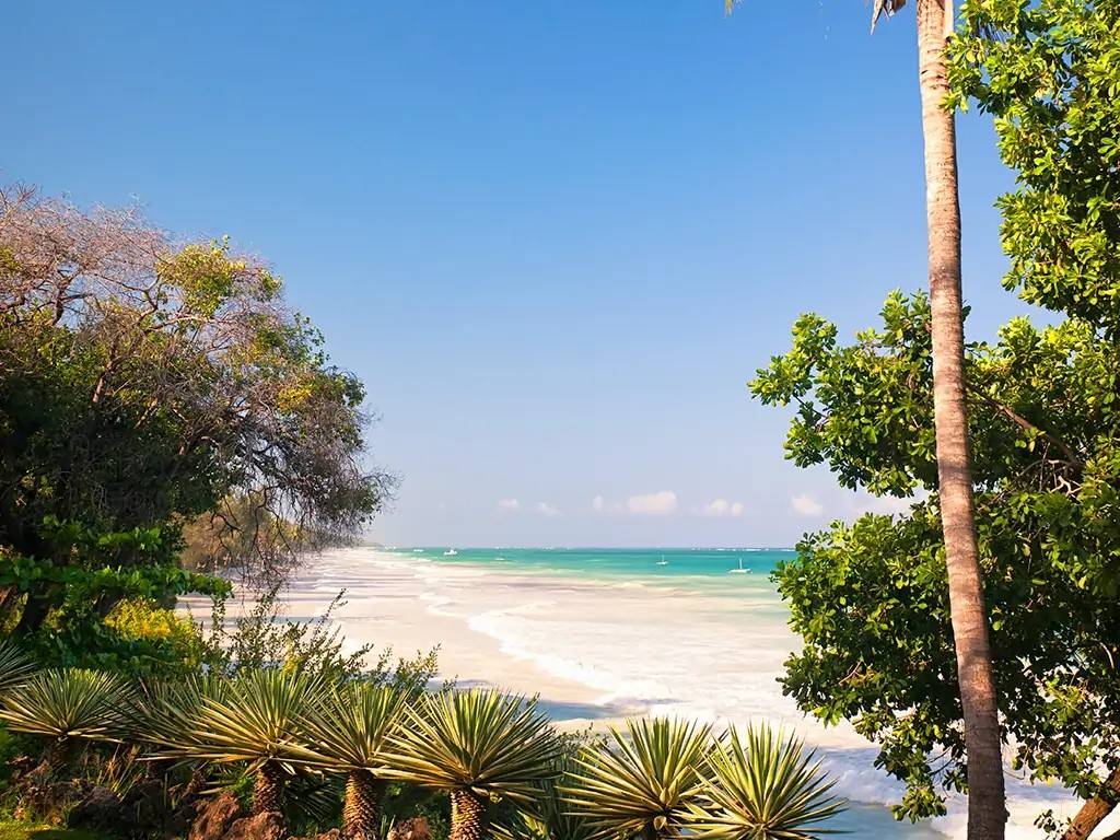 Sur la plage de sable blanc