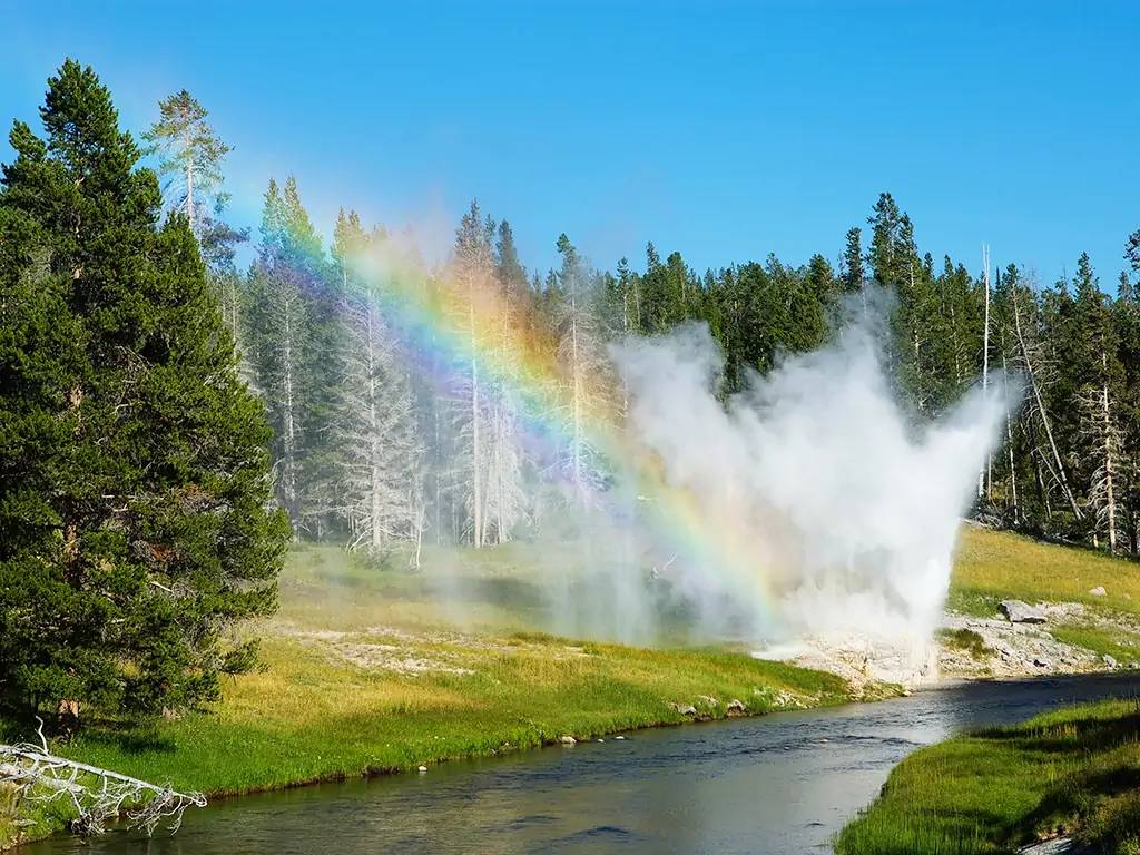 Parc National de Yellowstone