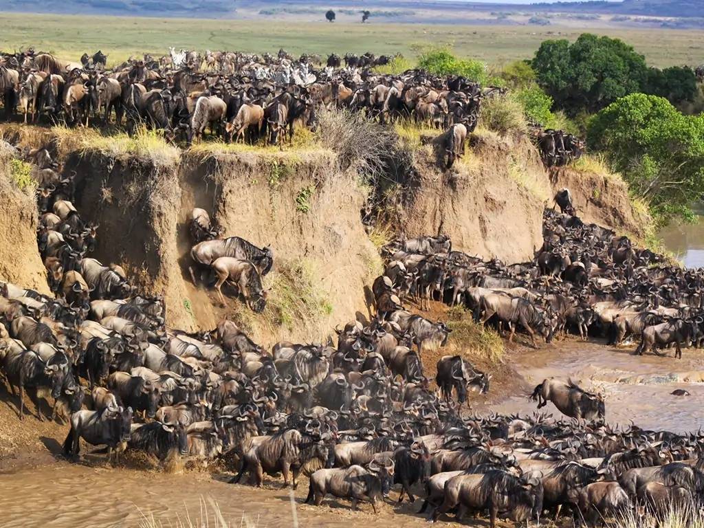 Safari dans l’extrême nord Serengeti 