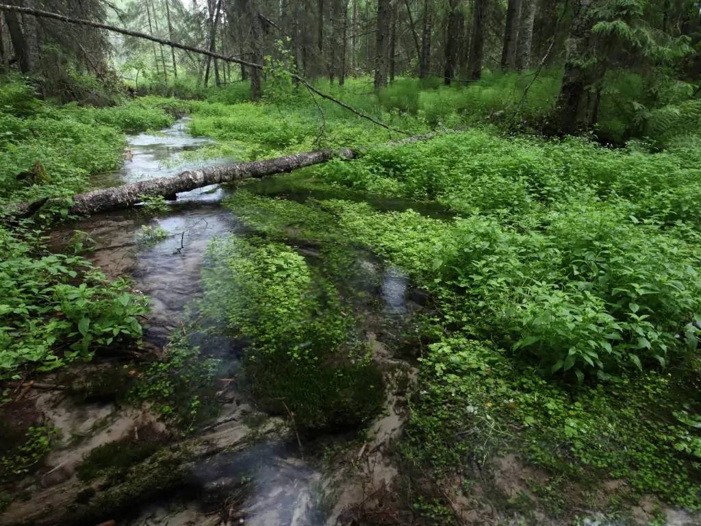 Explorez un parc national