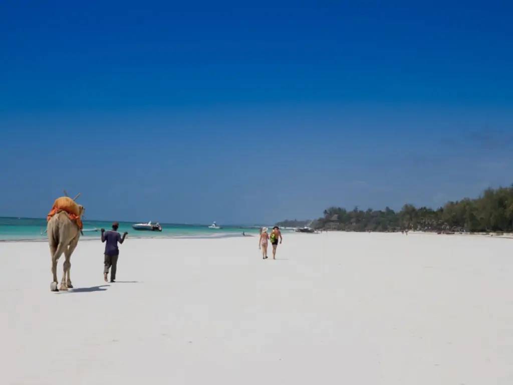 Sur la plage de sable blanc