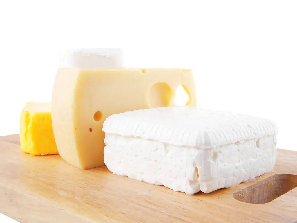 Cave à vins et dégustation de fromage