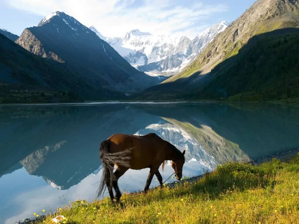 Acclimatation et découverte de la fascinante région de l’Altaï