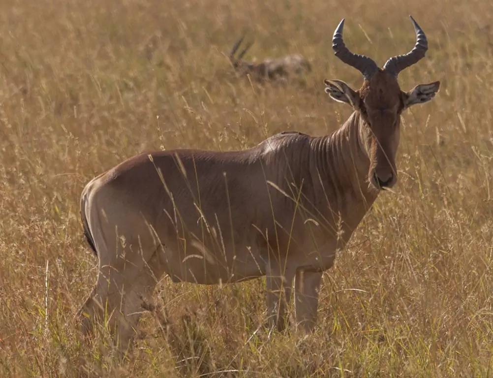 Route vers Ruaha