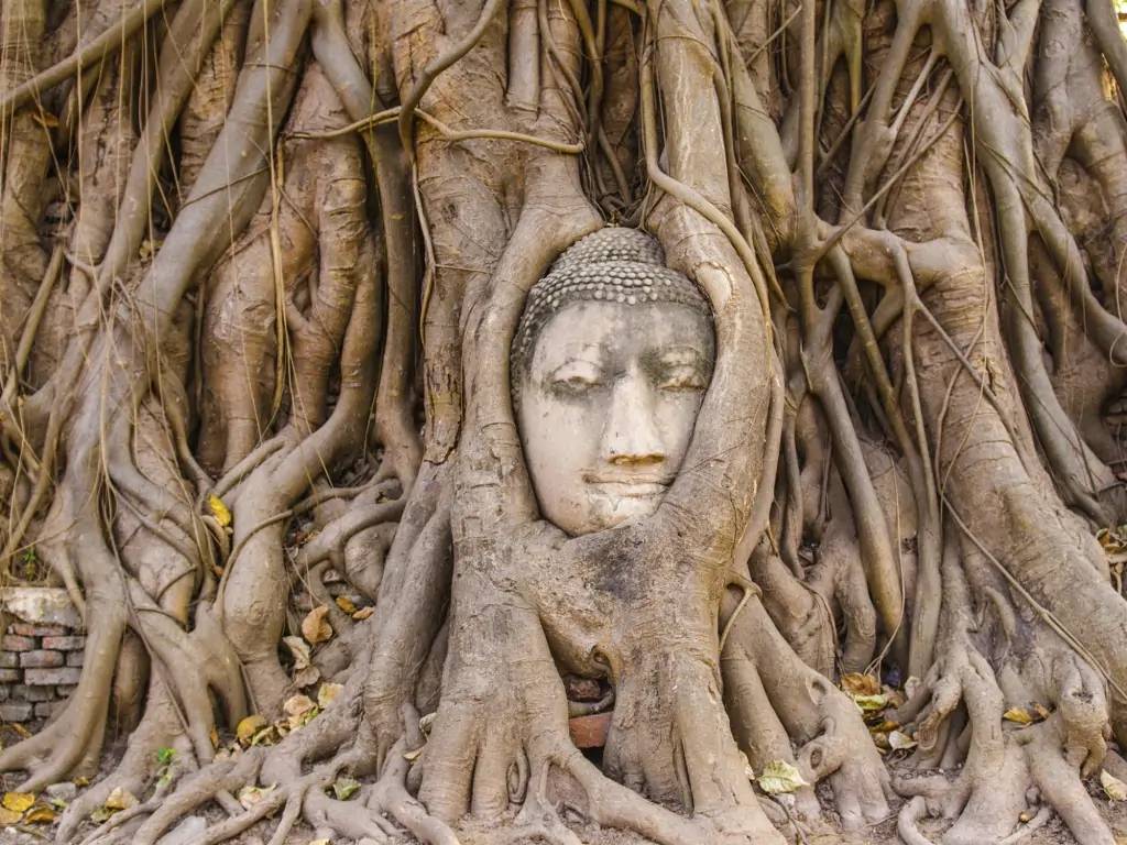 Découverte d’Ayutthaya, ancienne capitale du Royaume de Siam