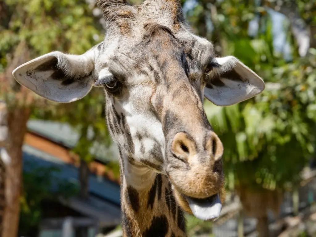 Arrivée au Kenya !