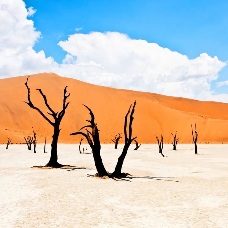 Spectaculaires dunes rougeoyantes de Sossusvlei (150 km)