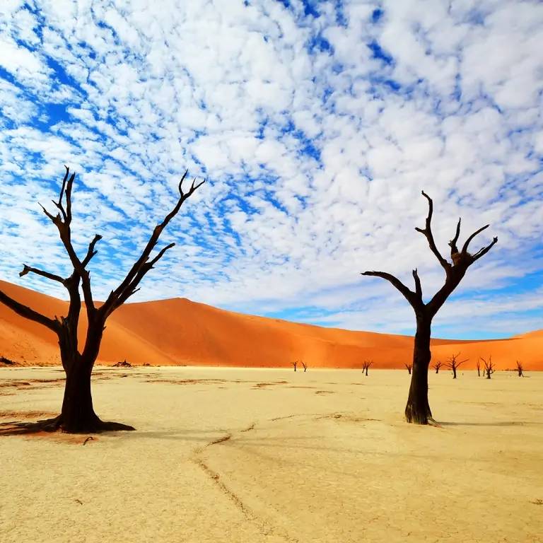 Spectaculaires dunes rougeoyantes de Sossusvlei (150km)