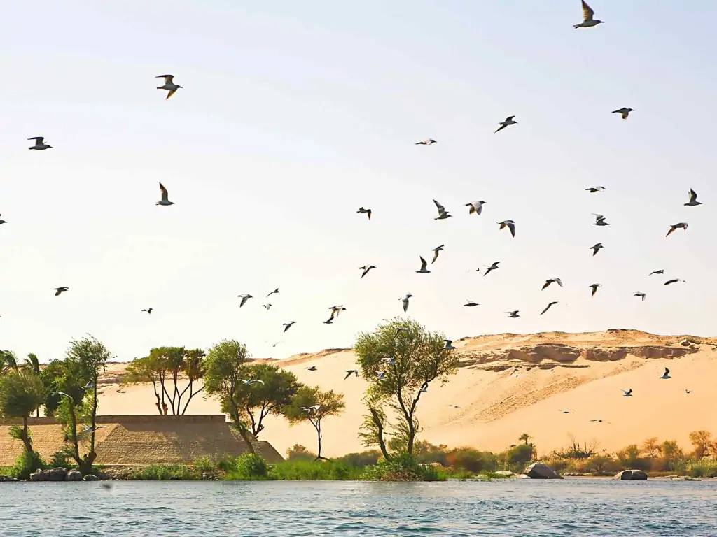 La vallée rurale du Nil