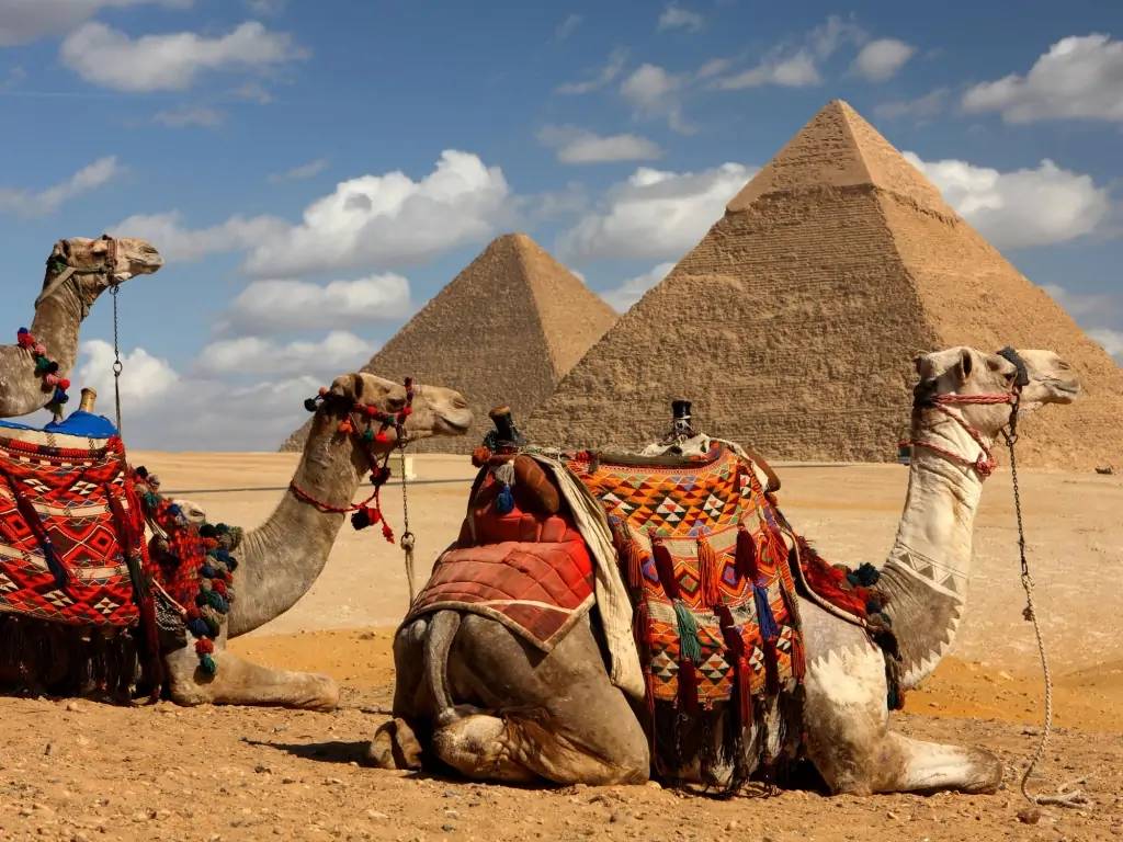 Pyramides et antiquités du Caire