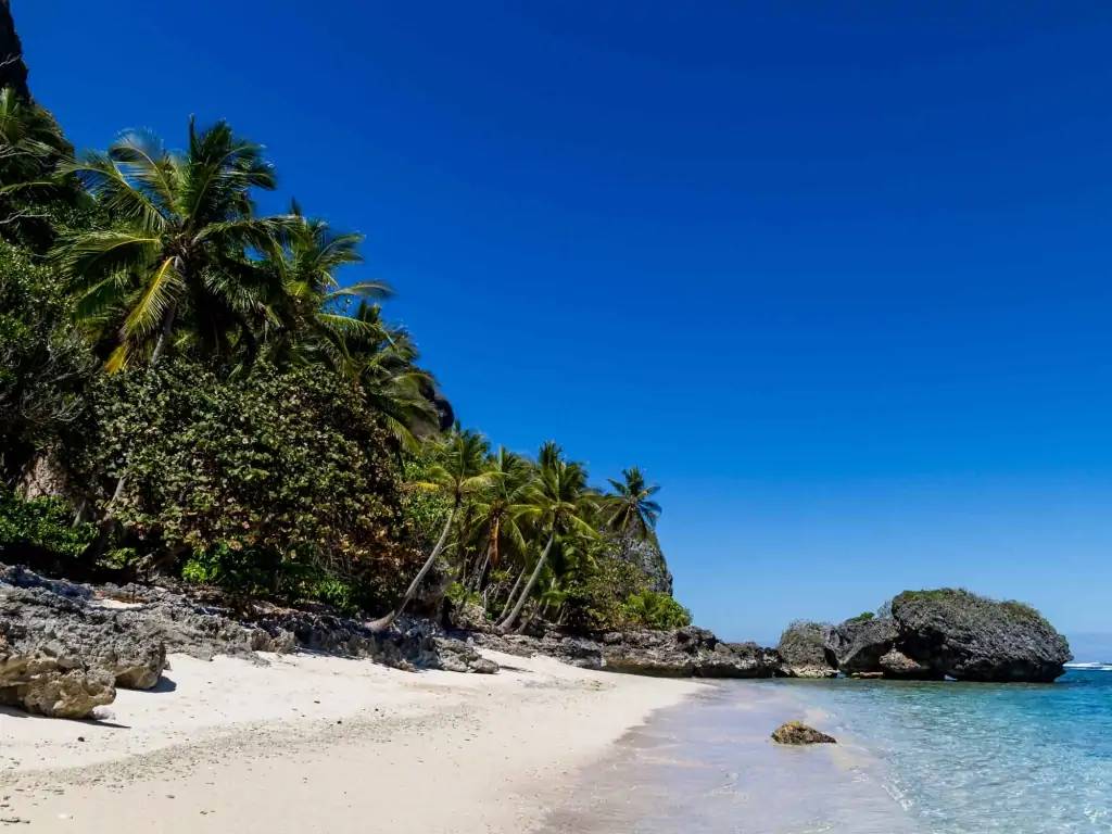 Entre plages et jungle : découvertes paradisiaques