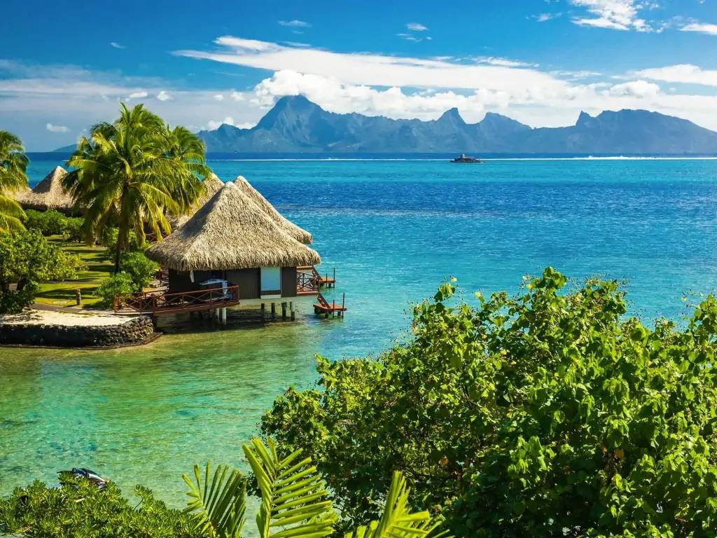 Retour à Tahiti