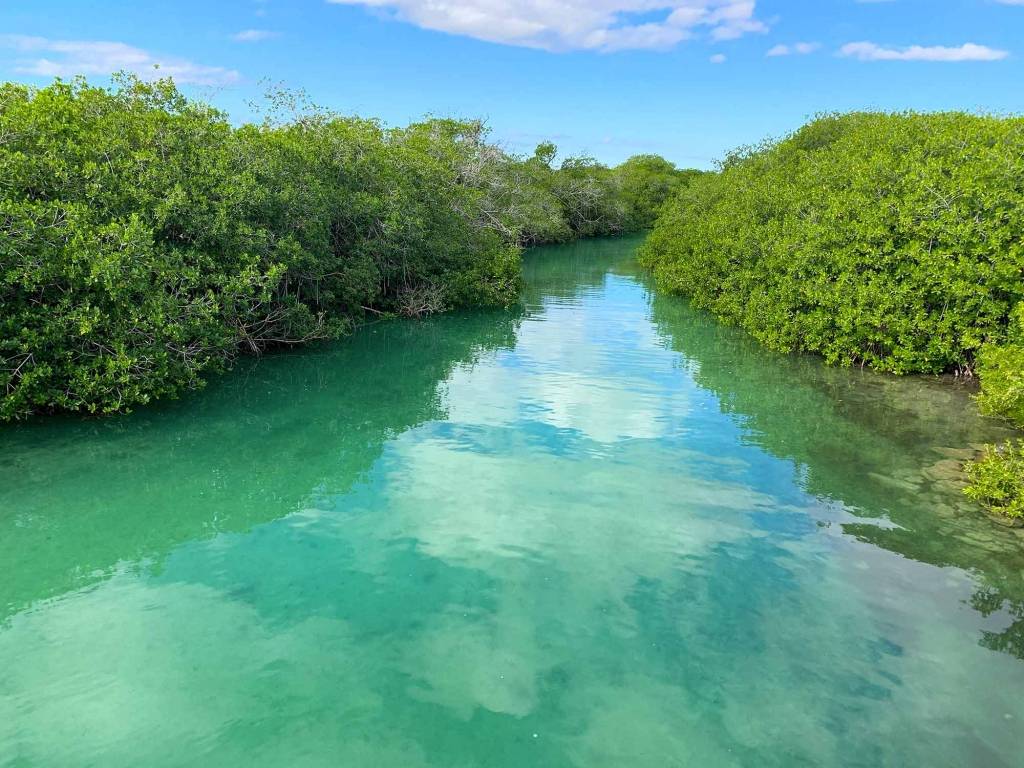Réserve de Sian Ka’an : mangroves, forêts tropicales et lagunes 