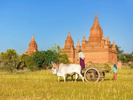 Vie locale à Bagan