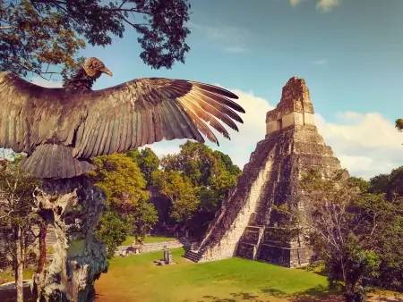 Tikal et Yaxha : géants Mayas 