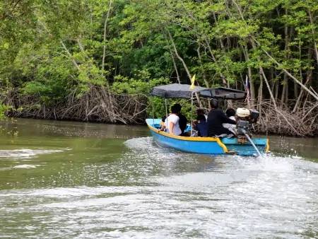 Tortuguero : la petite Amazonie du Costa Rica