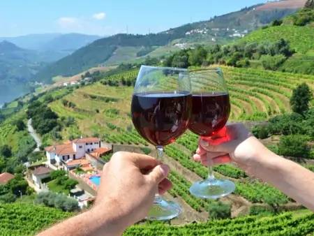 Immersion dans les vignes de la vallée du Douro