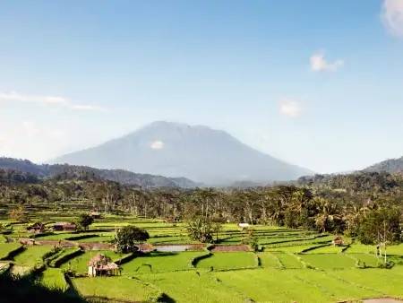 Vallées luxuriantes de Bali