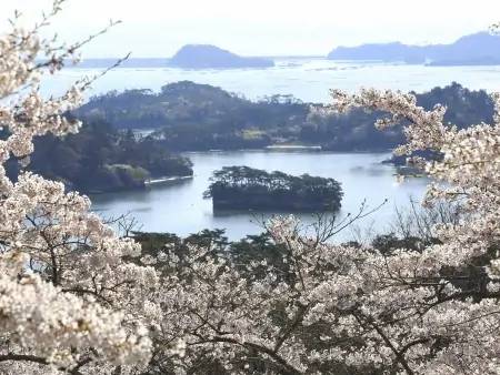 La Baie de Matsushima