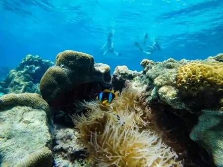 Kalakajoro et sa barrière de corail