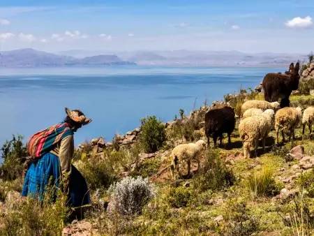 Arrivée à Puno et découverte du Lac Titicaca