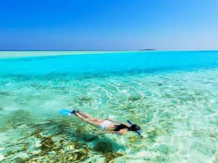 Idylle dans les eaux chaudes des atolls