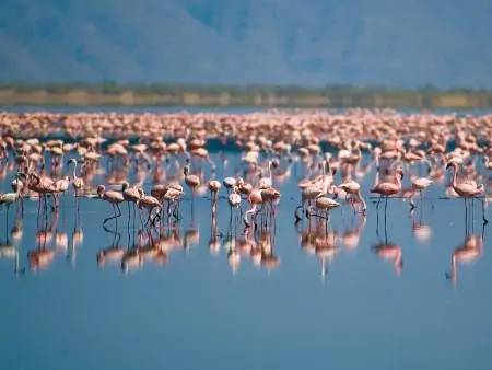 Entrée en Tanzanie, paysages et couleurs du Lac Natron