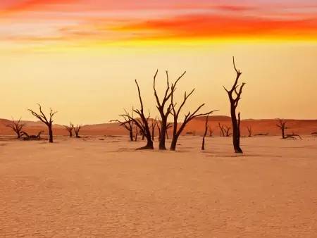 Ascension d’une dune du désert de Namib