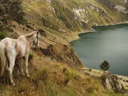 Début du trek dans les Andes Orientales
