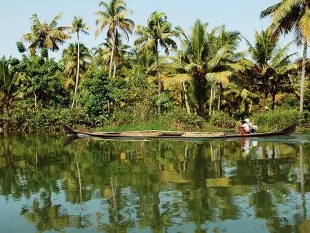 Au vert dans les backwaters