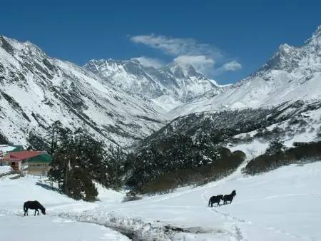 Poon hill : panorama sur les Annapurnas !