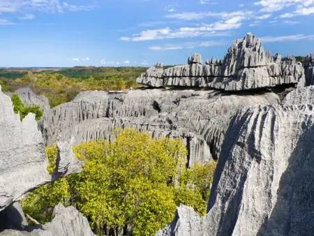 Une Forêt de pierres classée par l’Unesco !