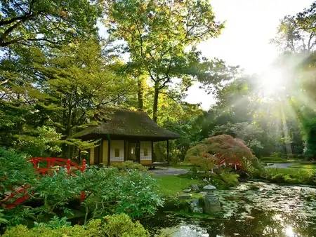 Jardin d’Okayama et Kurashiki