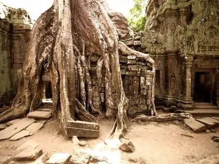Angkor Wat : splendeur éternelle