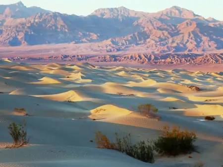 Le désert du Nevada 