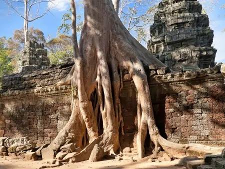 Les temples d’Angkor à vélo