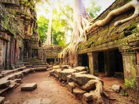 Premières saveurs d’Angkor