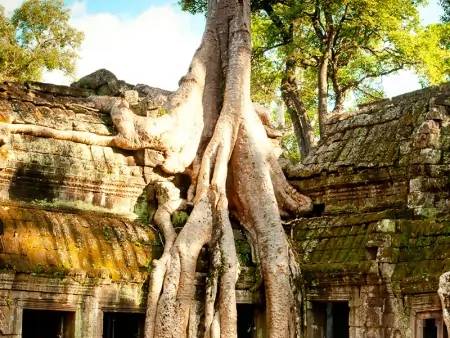 Les environs d’Angkor